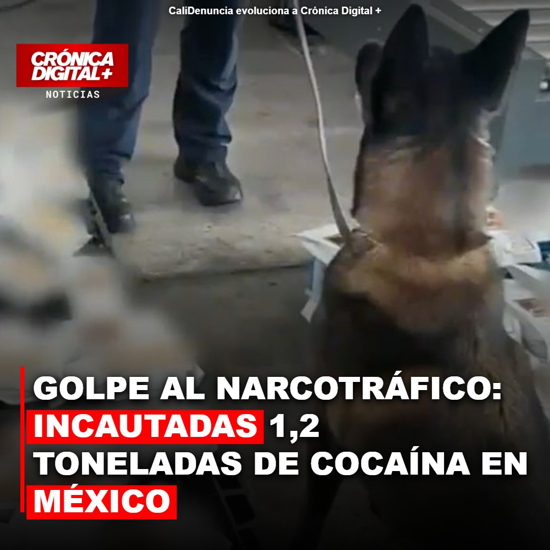 Golpe al narcotráfico: incautadas 1,2 toneladas de cocaína en México