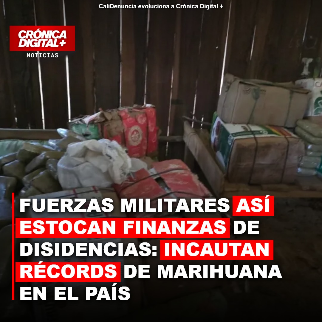 Golpe millonario a disidencias: 15 toneladas de marihuana incautadas