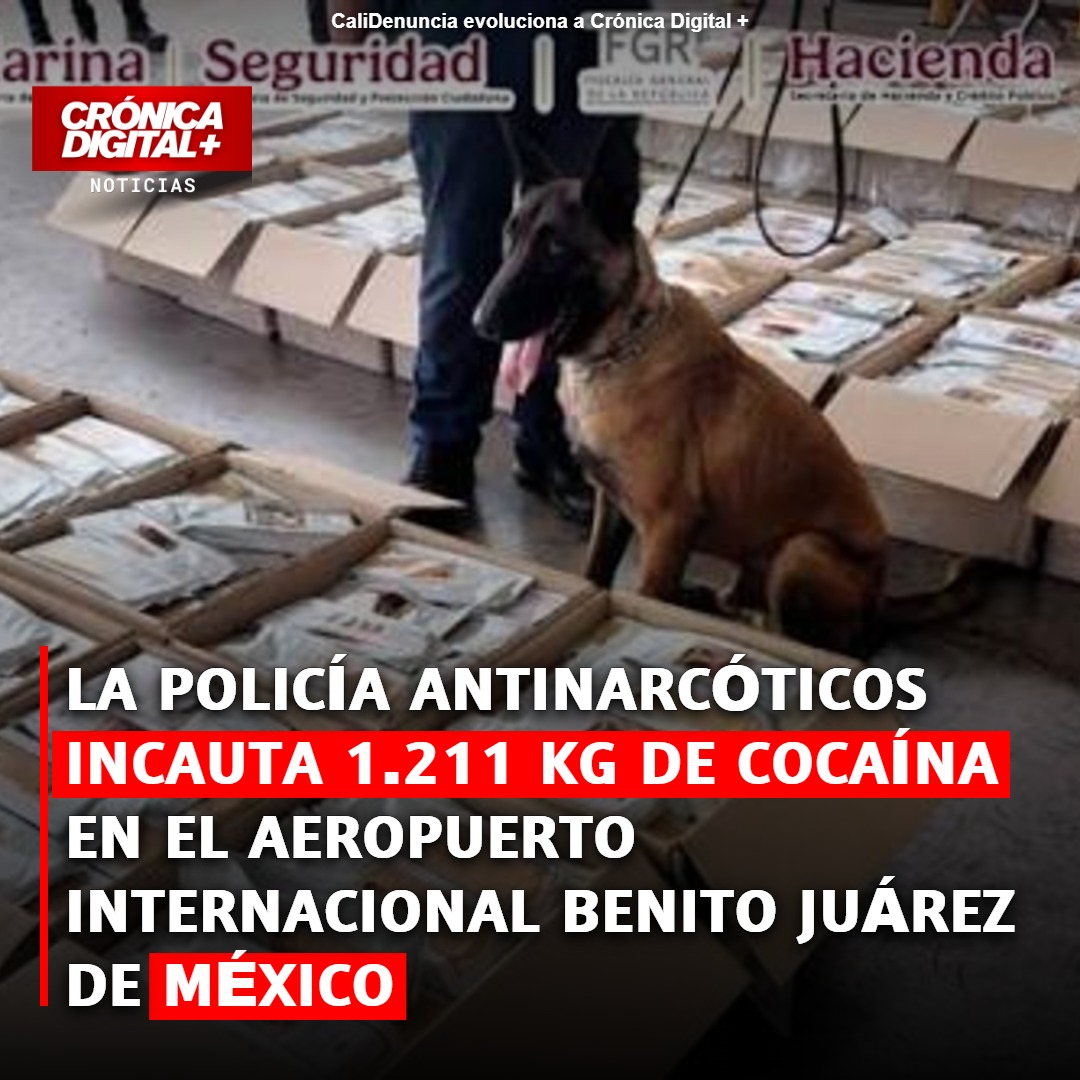 Incautan 1.211 kg de cocaína en aeropuerto Benito Juárez de México