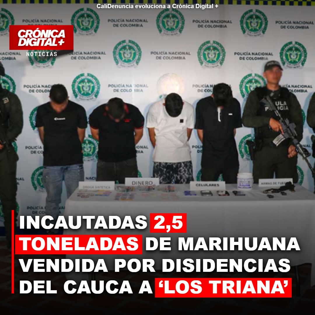 Incautan 2,5 toneladas de marihuana de disidencias FARC a ‘Los Triana’