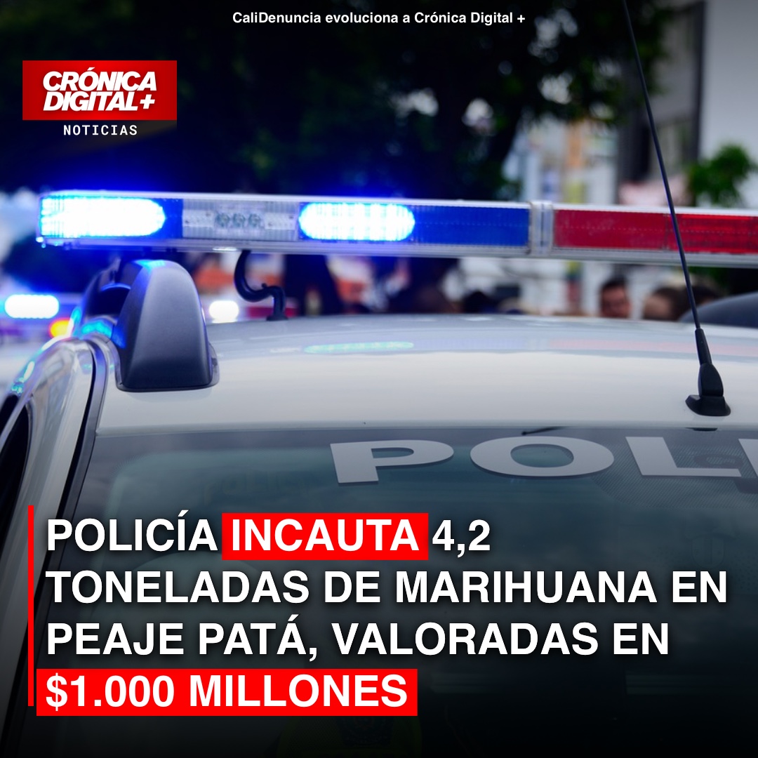 Incautan 4,2 toneladas de marihuana valoradas en $1.000 millones en Huila