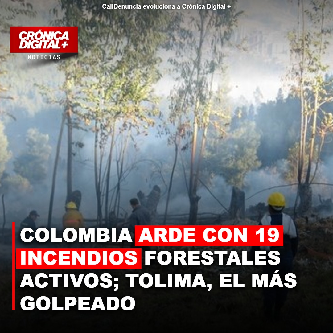 Incendios forestales azotan Colombia: Tolima es la región más impactada