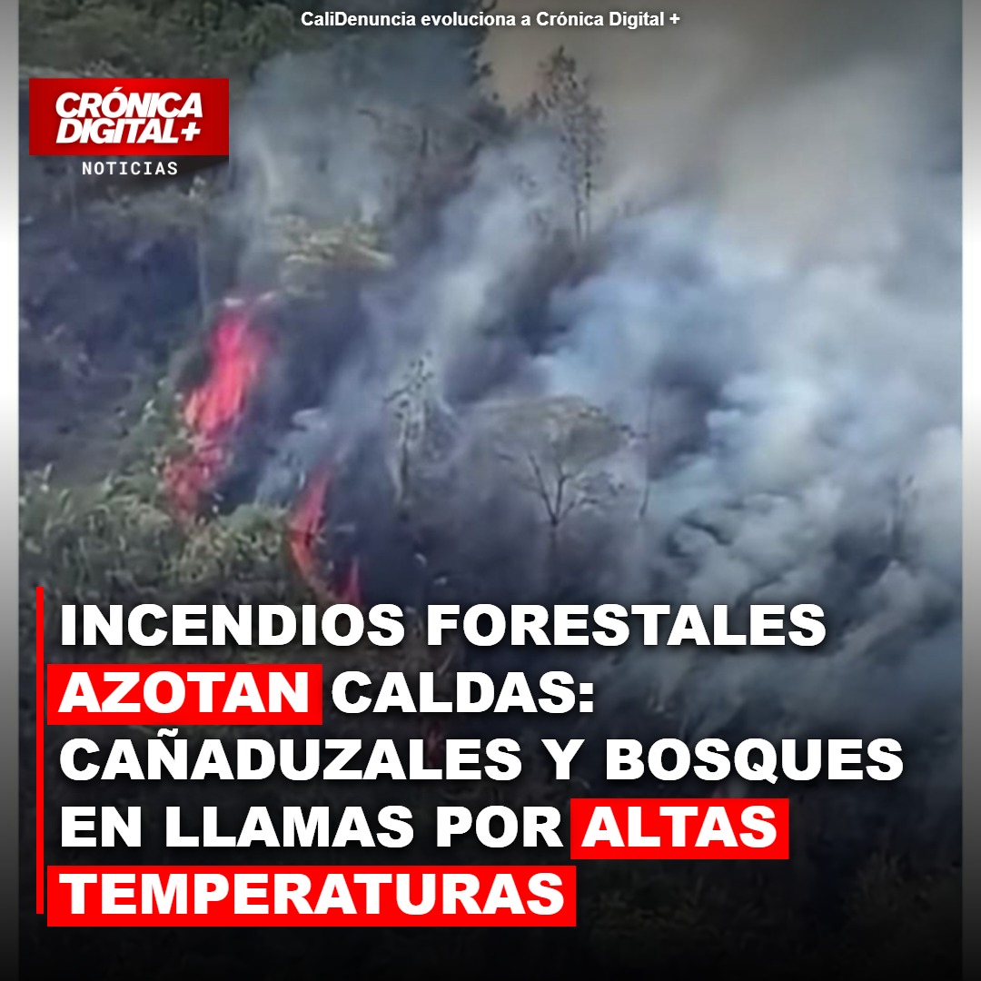 Incendios Forestales Devastan Cañaduzales y Bosques en Caldas