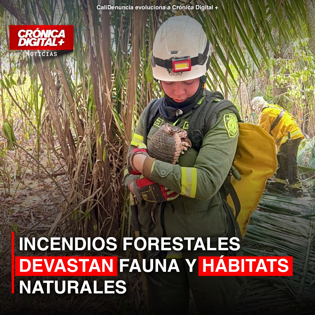 Incendios forestales devastan Fauna y hábitats naturales