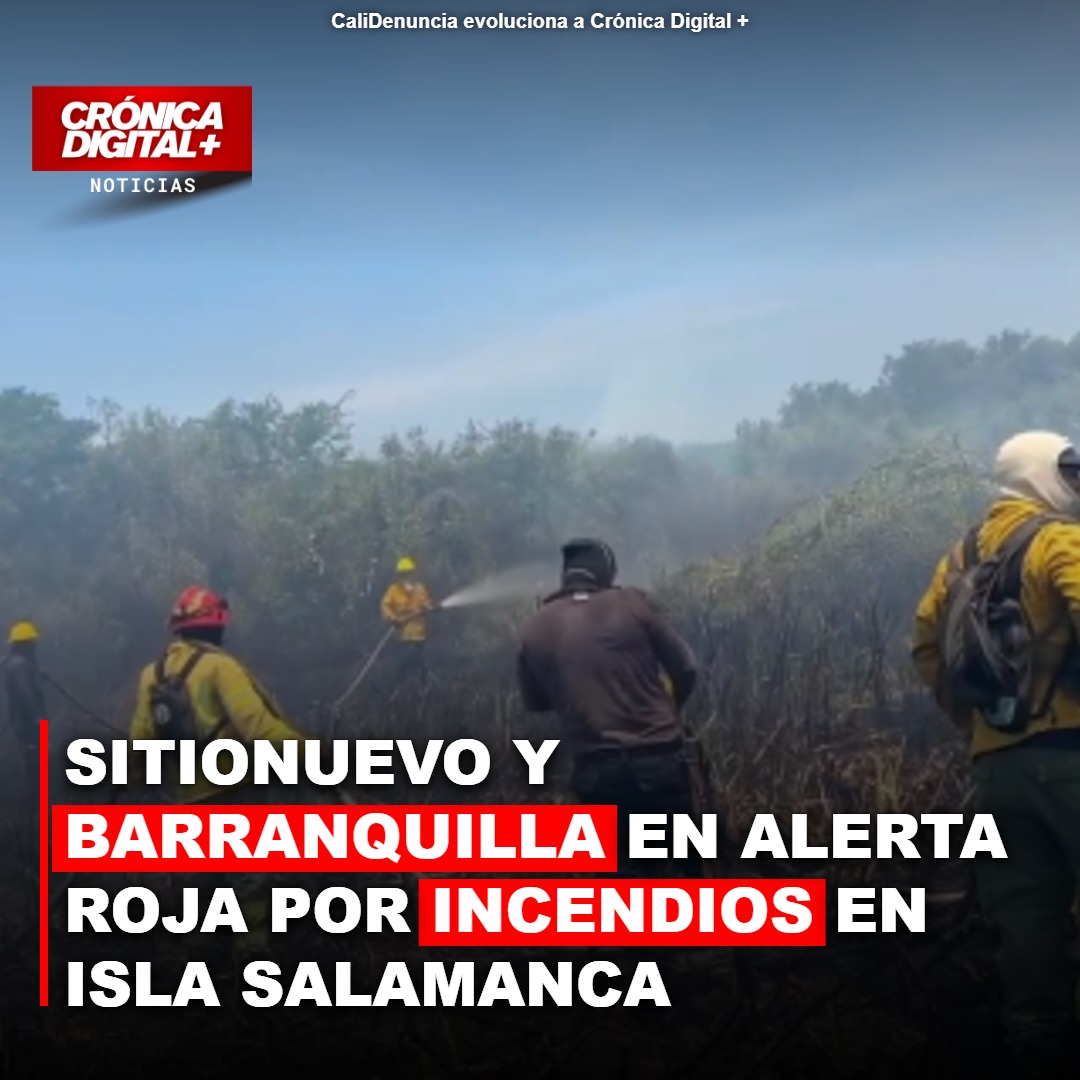 Isla Salamanca: Incendios repetidos disparan alerta roja ambiental en Sitionuevo