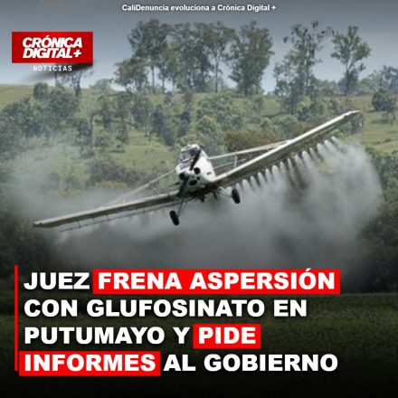 Juez suspende piloto de aspersión con glufosinato en Putumayo