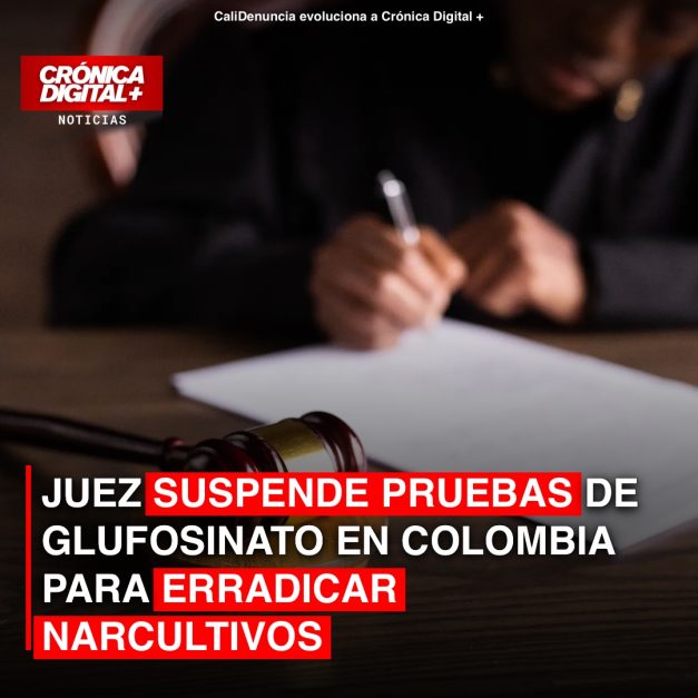 Juez suspende pruebas de glufosinato para erradicación de coca en Colombia