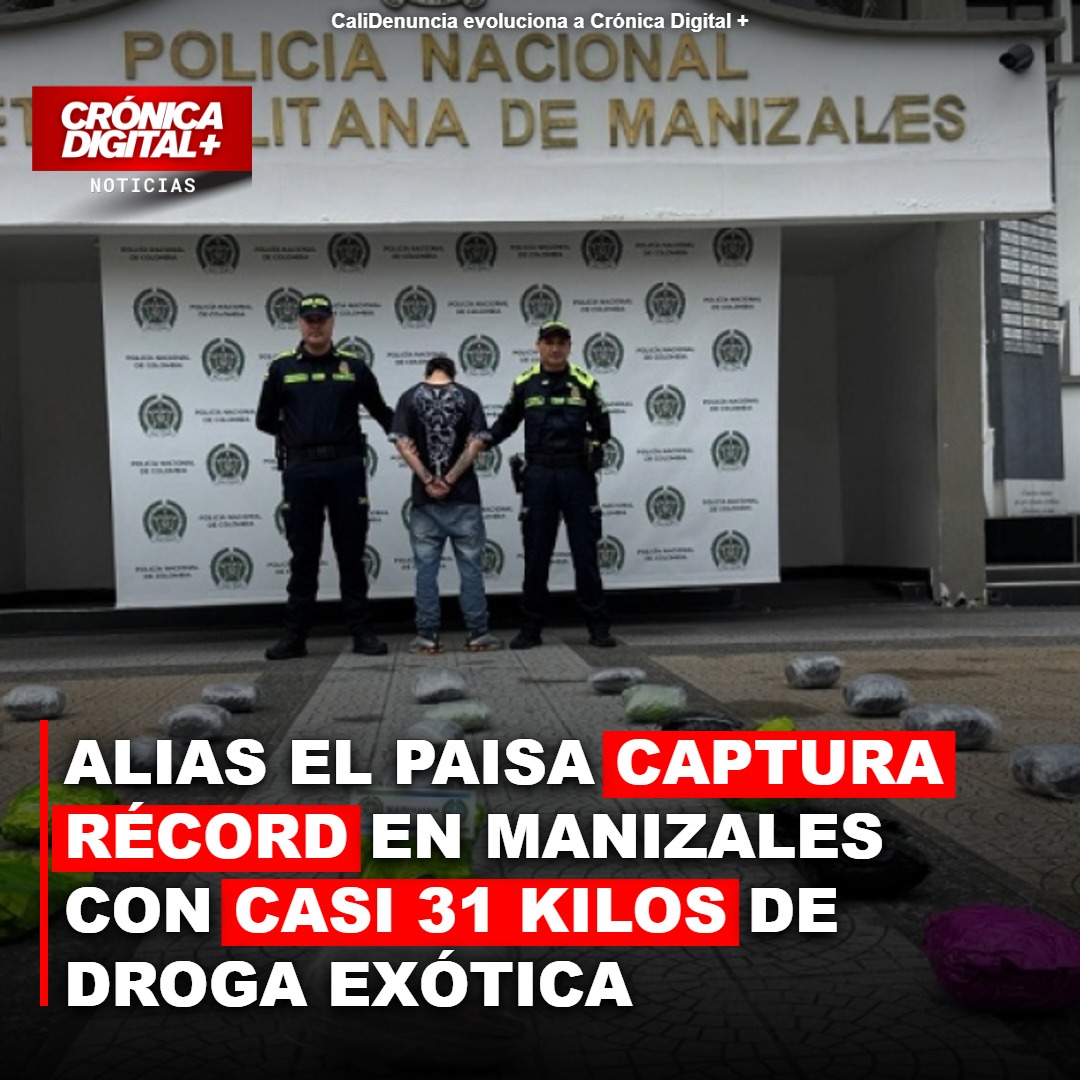 Manizales golpea microtráfico: alias ‘El Paisa’ capturado con 31 kilos de droga