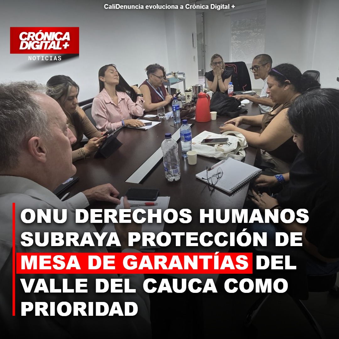 ONU Derechos Humanos subraya protección de Mesa de Garantías del Valle del Cauca como prioridad