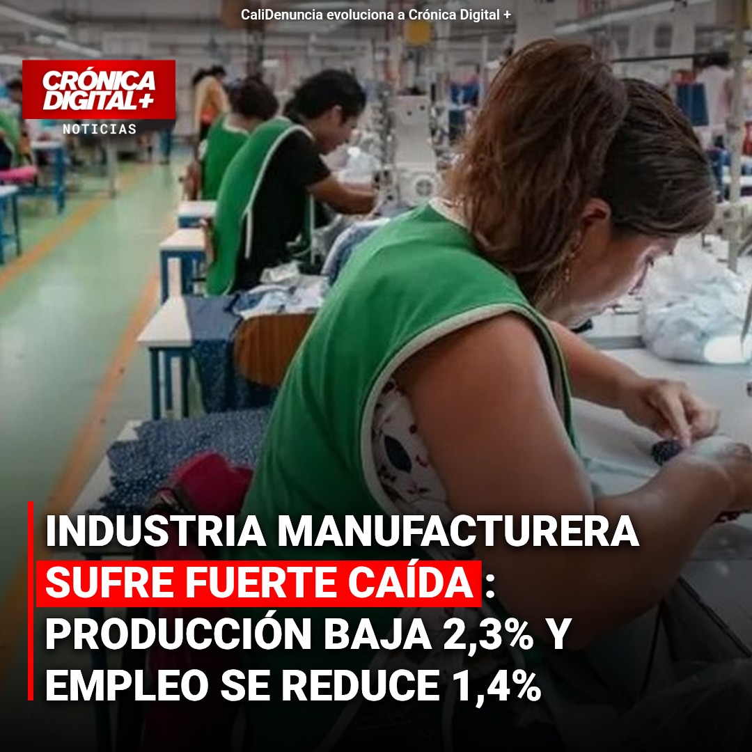 Producción Manufacturera Cae 2,3% y Empleo se Reduce 1,4% en Colombia