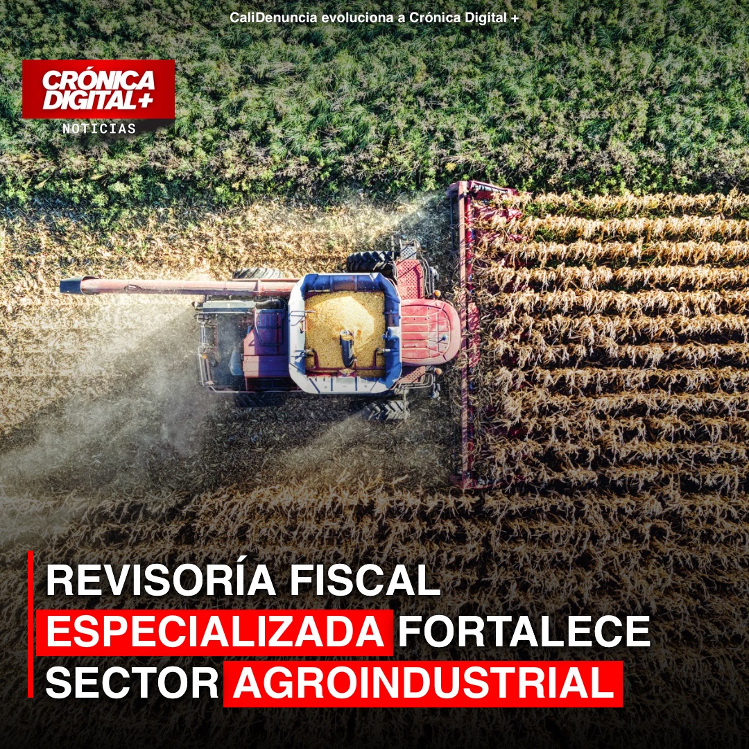 Revisoría Fiscal Especializada: Clave para el Agroindustrial