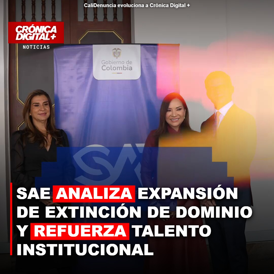 SAE analiza expansión de Extinción de Dominio y refuerza talento institucional