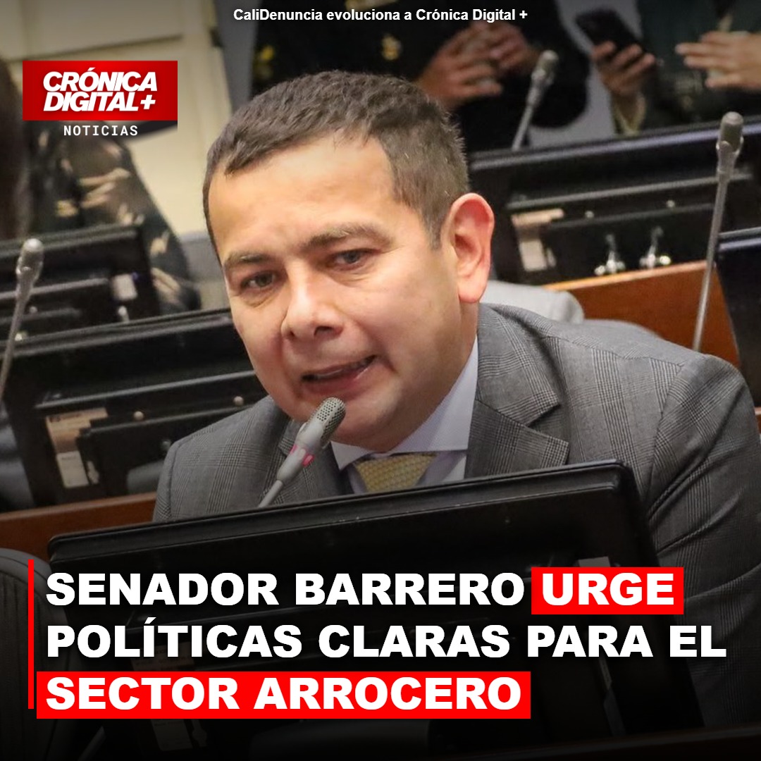 Senador barrero urge políticas claras para el sector arrocero