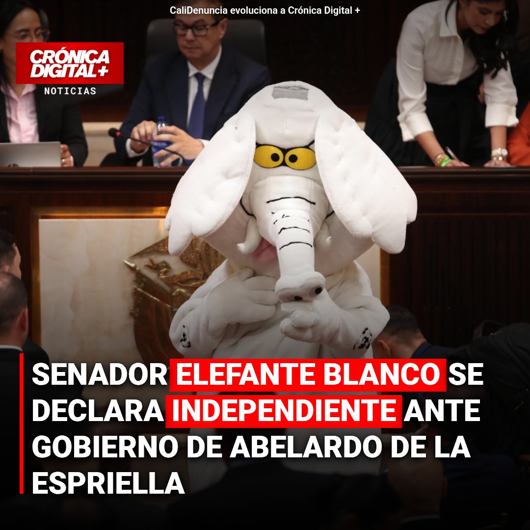 Senador Rúa se declara independiente frente a gobierno De la Espriella