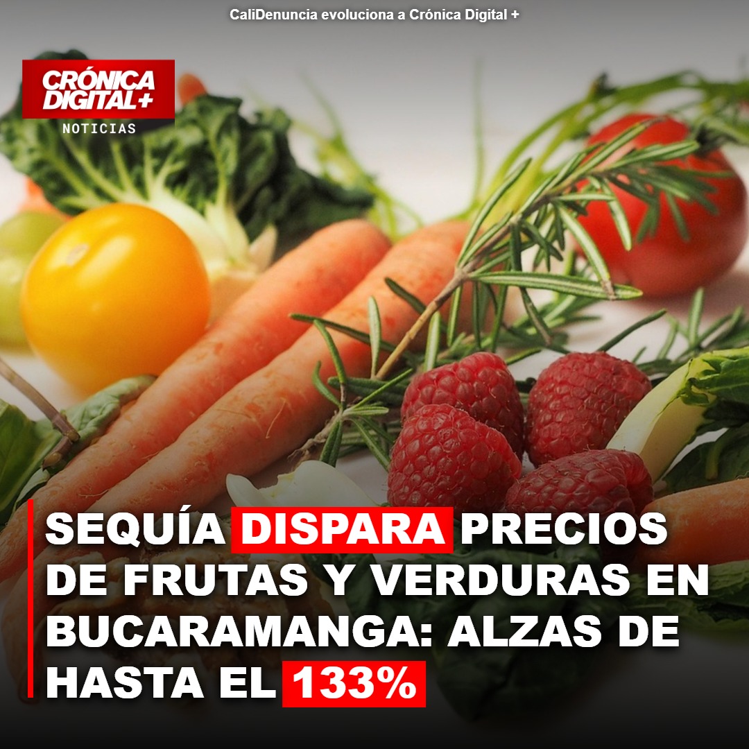 Sequía eleva hasta 133% precios de frutas y verduras en Bucaramanga