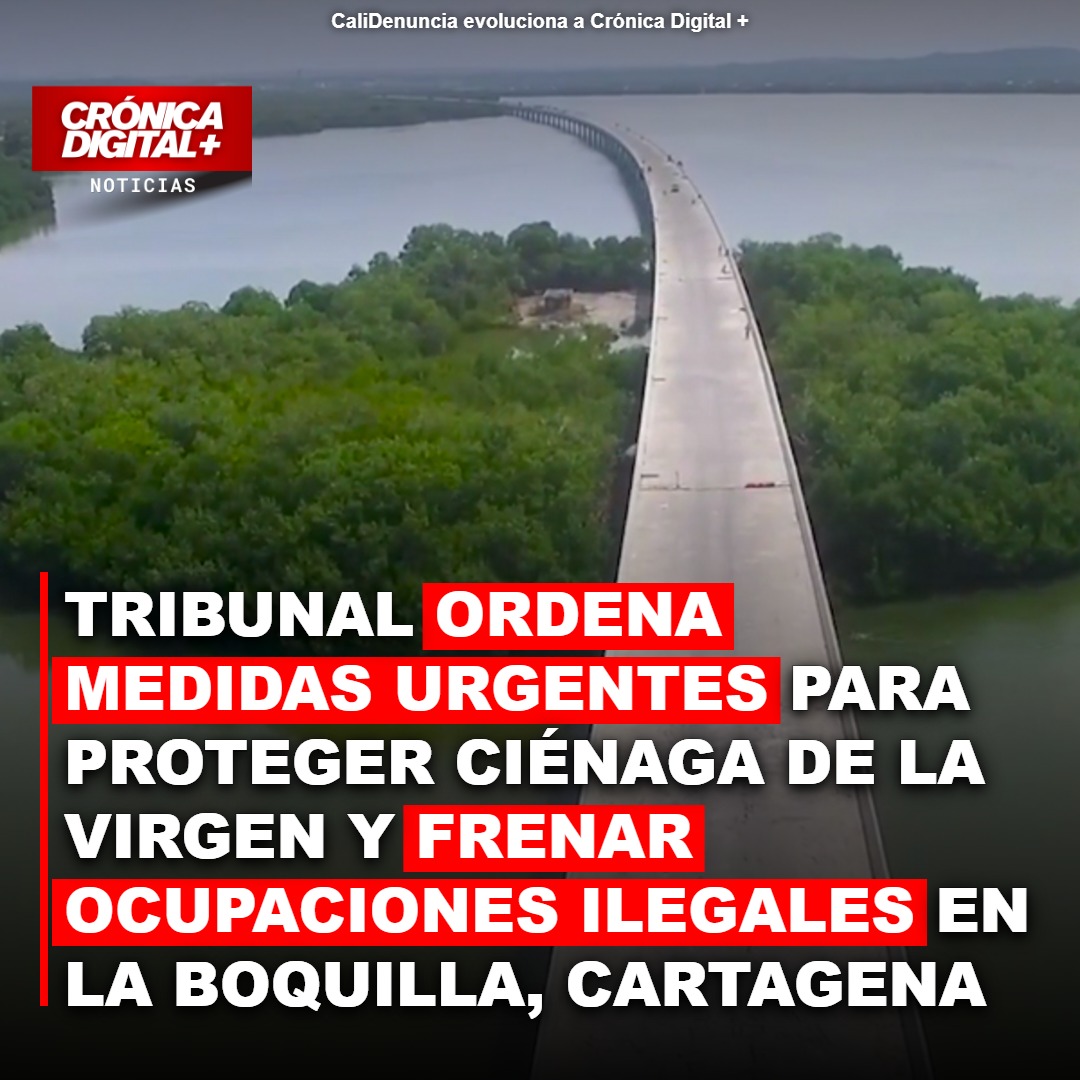 Tribunal ordena blindar Ciénaga de la Virgen contra invasiones en Cartagena