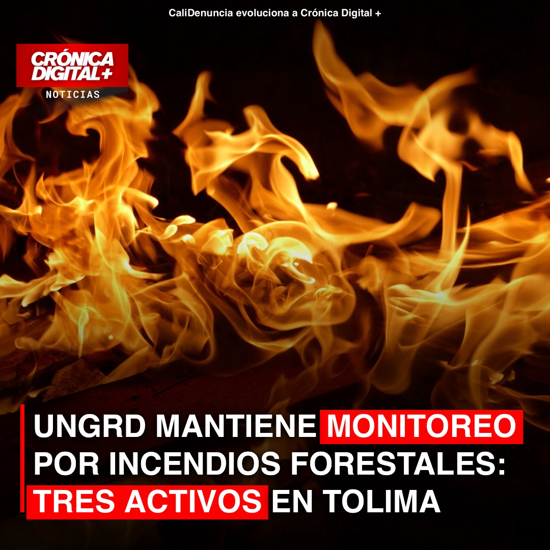 UNGRD mantiene monitoreo por incendios forestales: tres activos en Tolima