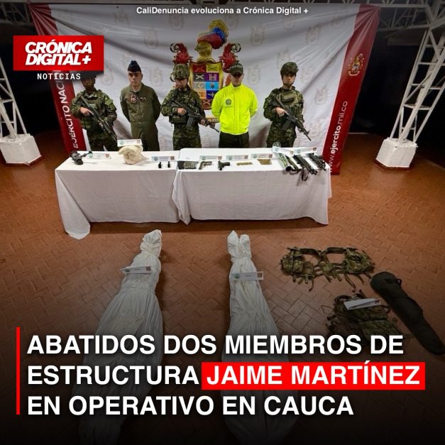Abatidos dos miembros de estructura Jaime Martínez en operativo en Cauca