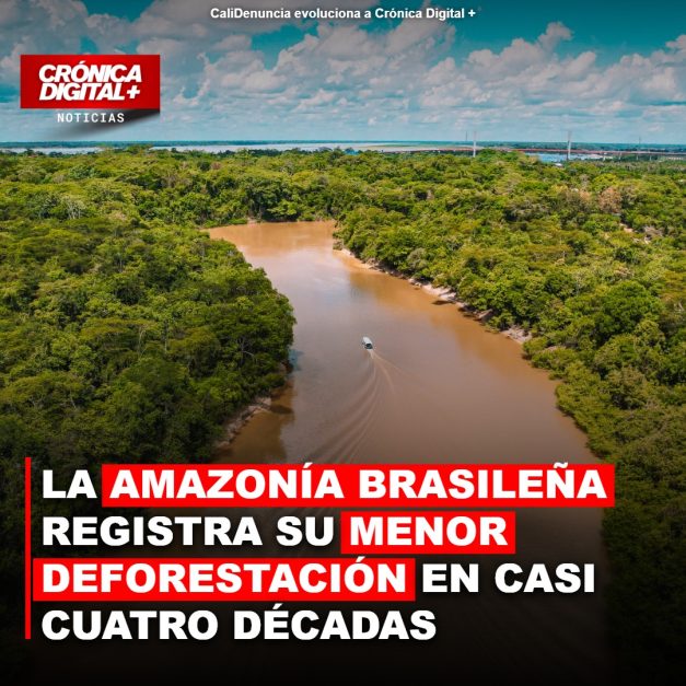 Amazonía brasileña reduce su deforestación al nivel más bajo desde 1988