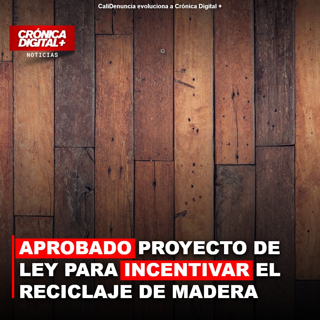 APROBADO proyecto de ley para incentivar el reciclaje de madera