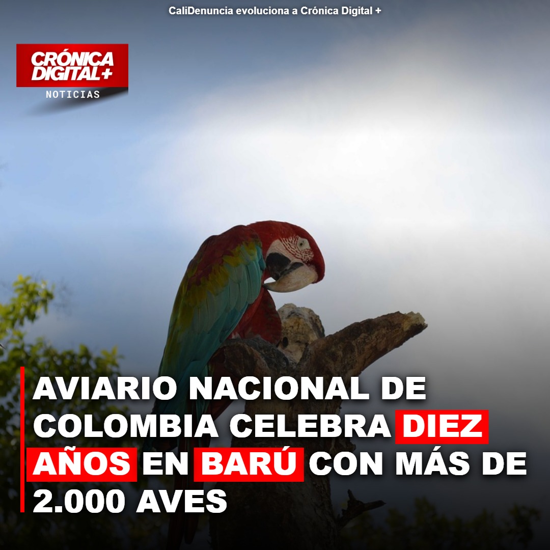 Aviario Nacional de Colombia cumple 10 años resguardando 2.000 aves