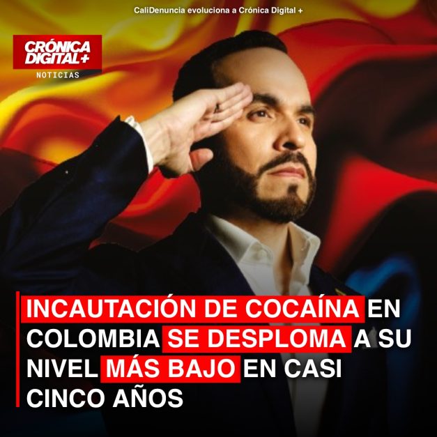 Cae la incautación de cocaína en Colombia a su nivel más bajo desde 2021