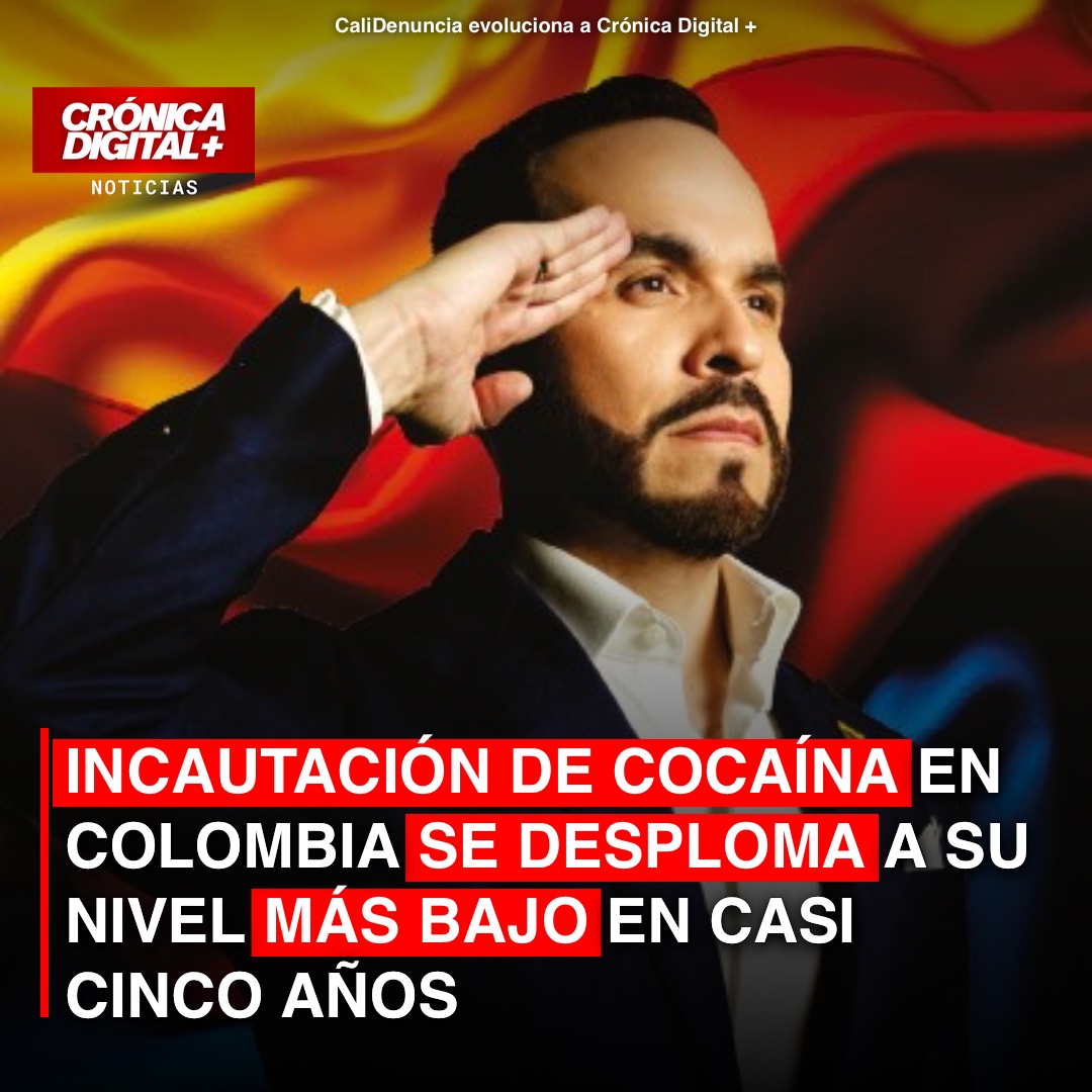 Cae la incautación de cocaína en Colombia a su nivel más bajo desde 2021