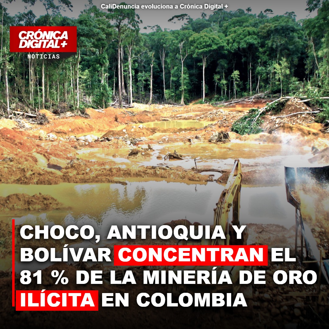 Choco, Antioquia y Bolívar concentran el 81 % de la Minería de oro ilícita en Colombia