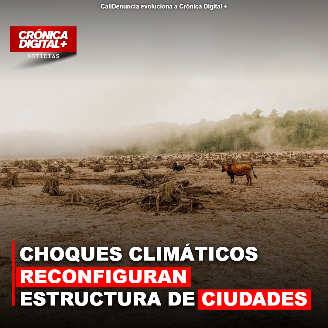 Choques climáticos reconfiguran estructura de ciudades