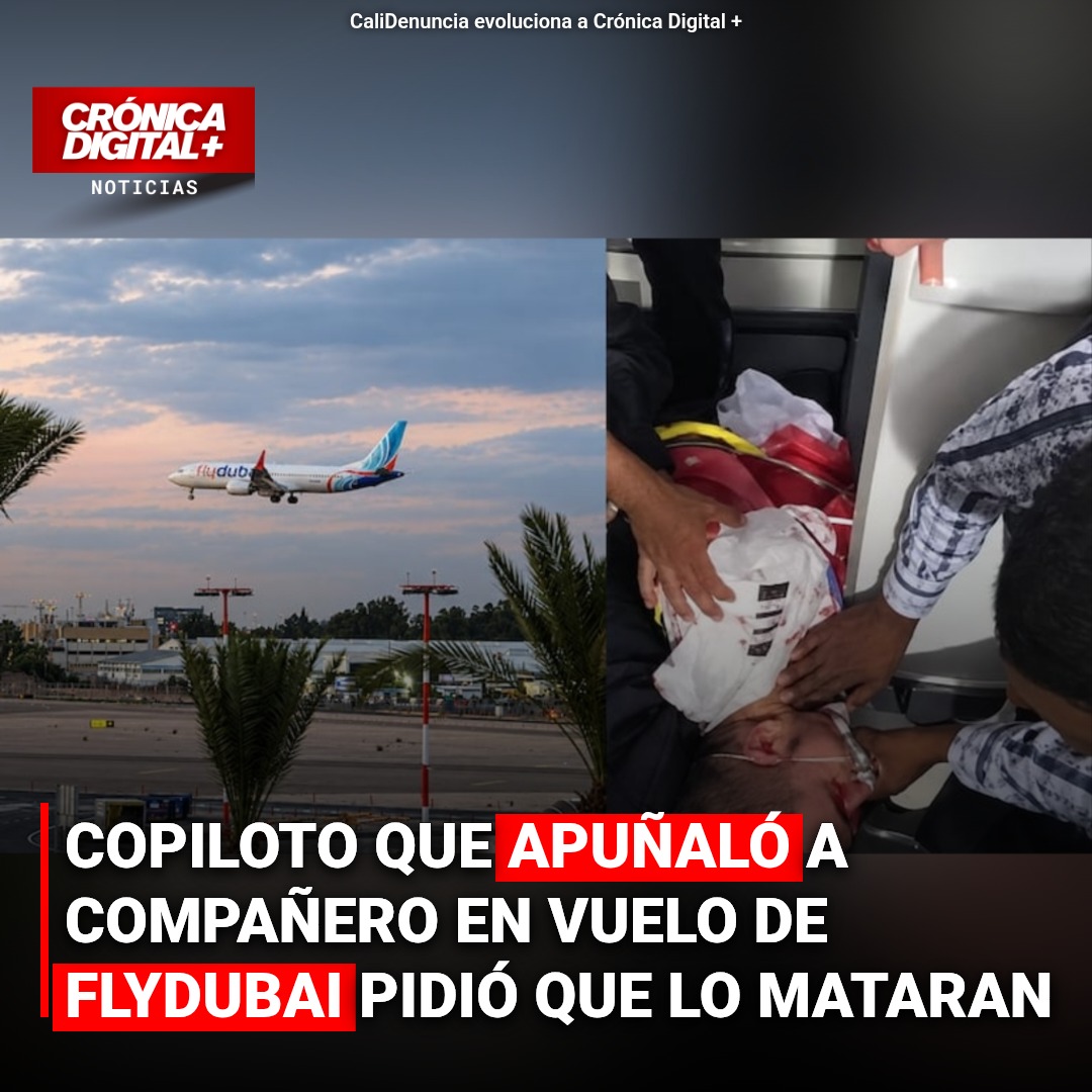 Copiloto de Flydubai apuñaló a compañero y pidió morir tras ser sometido