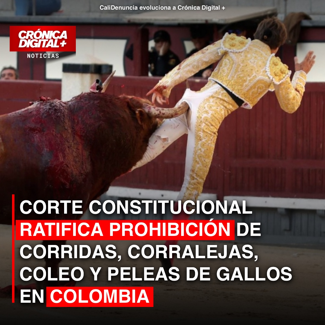 Corte Constitucional ratifica veto a corridas, corralejas y riñas