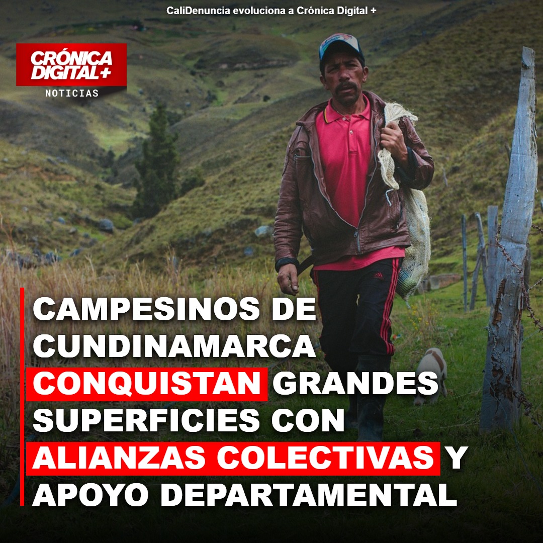 Cundinamarca impulsa venta directa campesina en grandes superficies