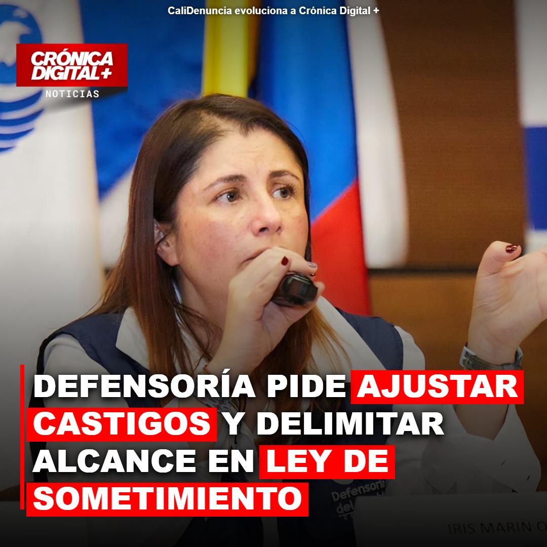 Defensoría pide revisar penas y alcance de la ley de sometimiento