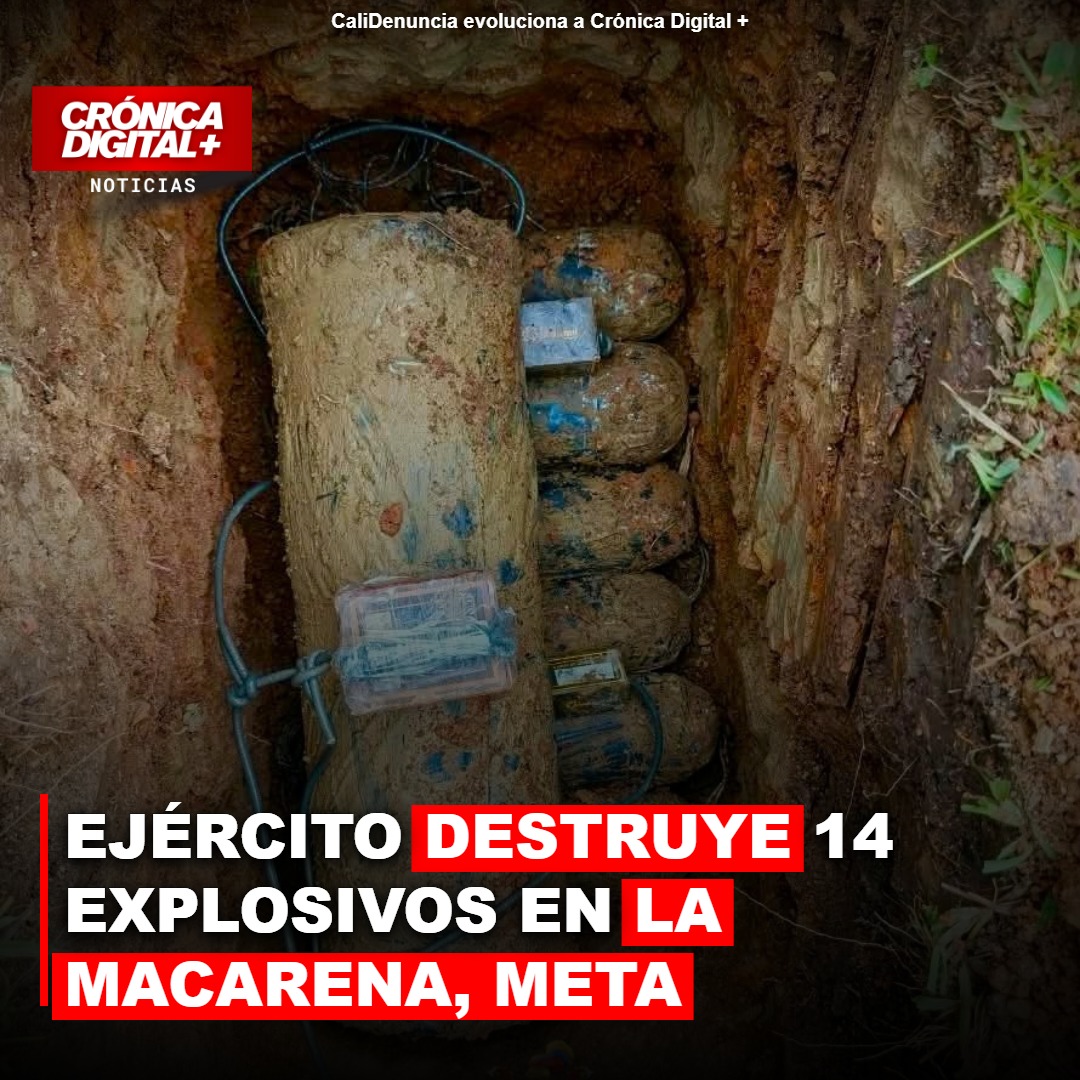 Ejército destruye 14 explosivos en La Macarena, Meta