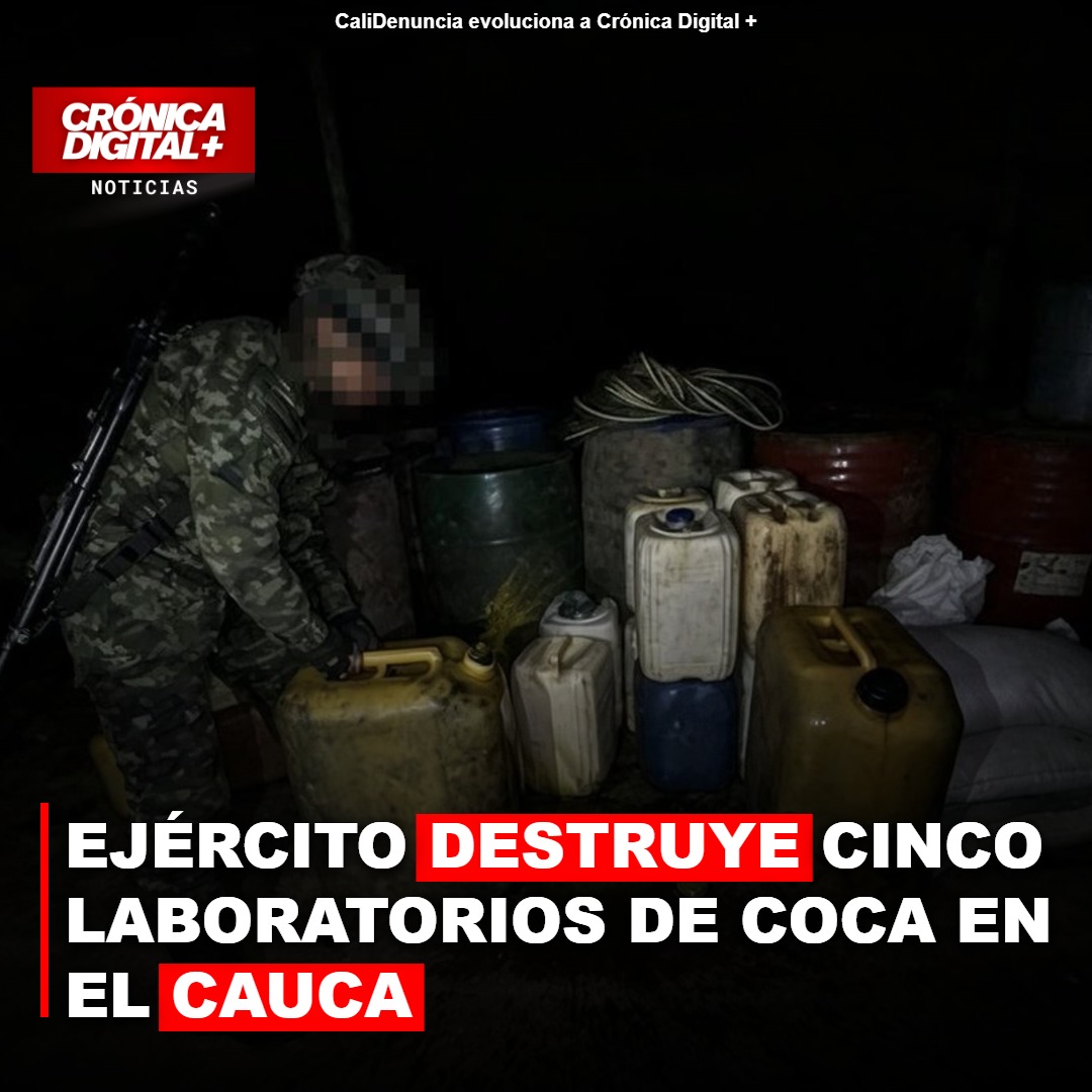 Ejército destruye cinco laboratorios de coca en el Cauca