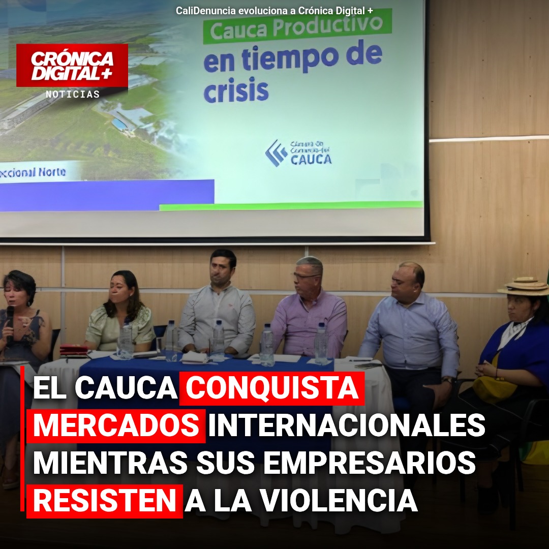 El Cauca conquista mercados internacionales mientras sus empresarios resisten a la violencia