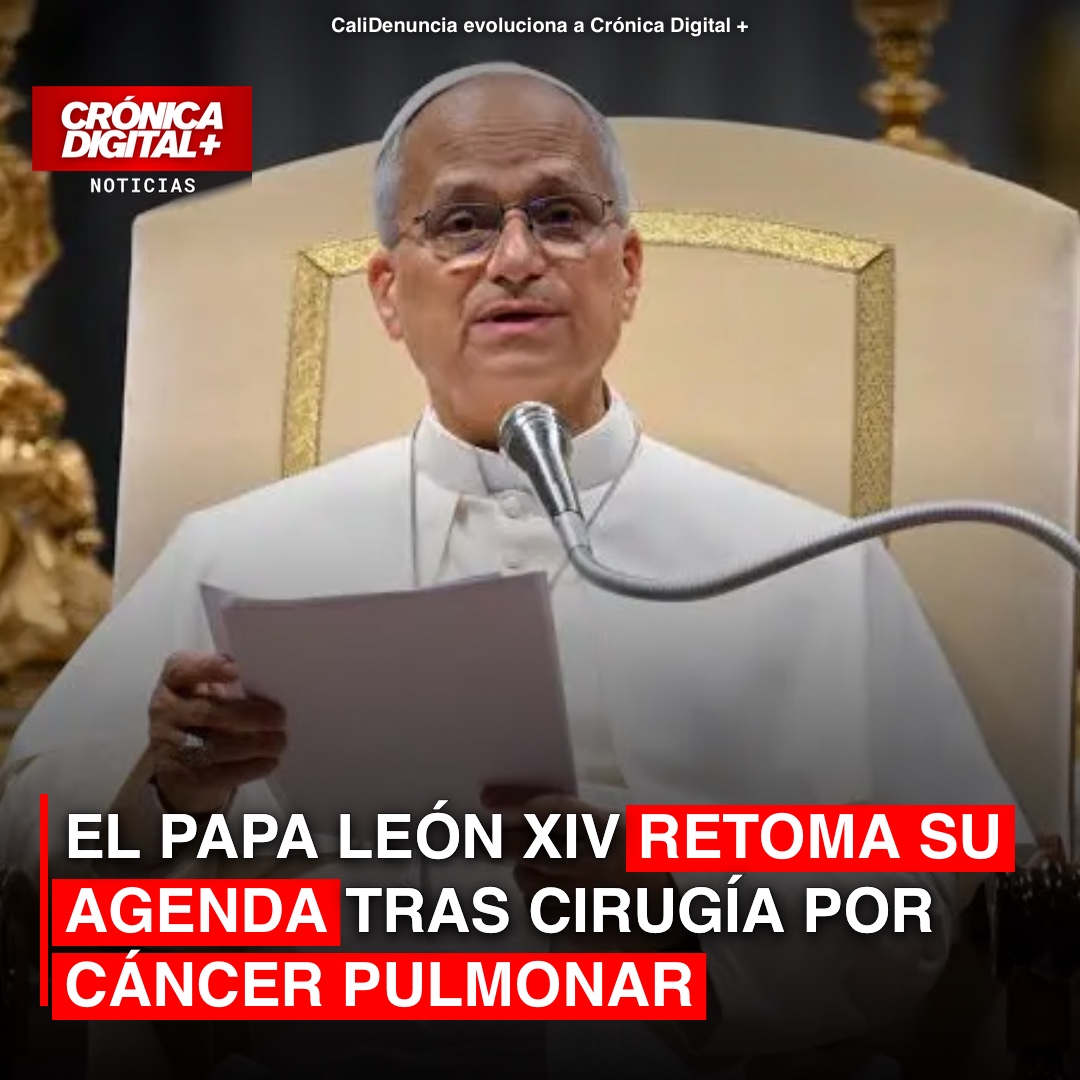 El Papa León XIV retoma su agenda tras cirugía por cáncer pulmonar