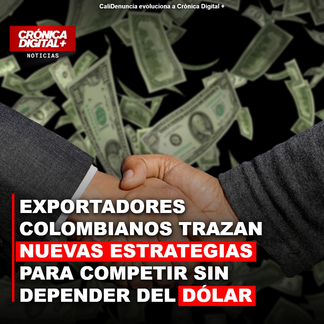 Exportadores colombianos trazan nuevas estrategias para competir sin depender del dólar