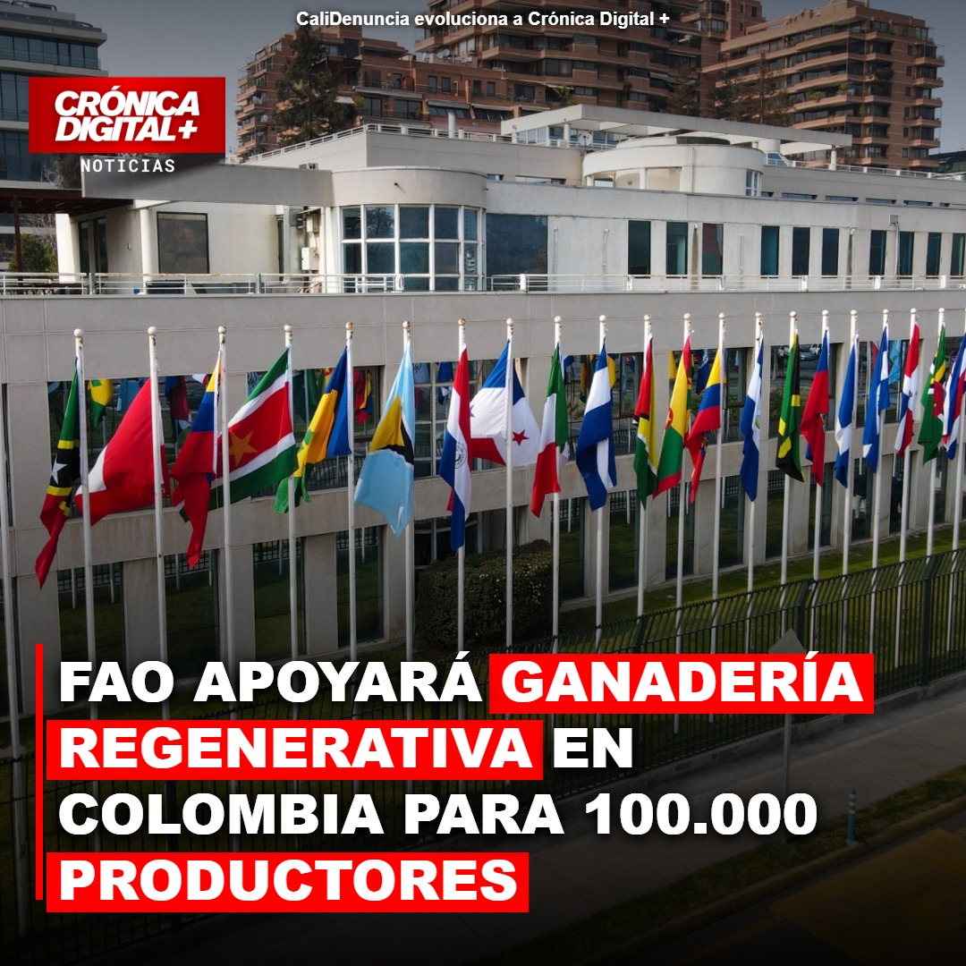 FAO apoyará Ganadería Regenerativa en Colombia para 100.000 productores