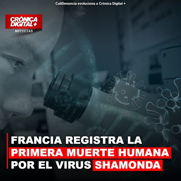 Francia confirma primera muerte humana vinculada al virus Shamonda