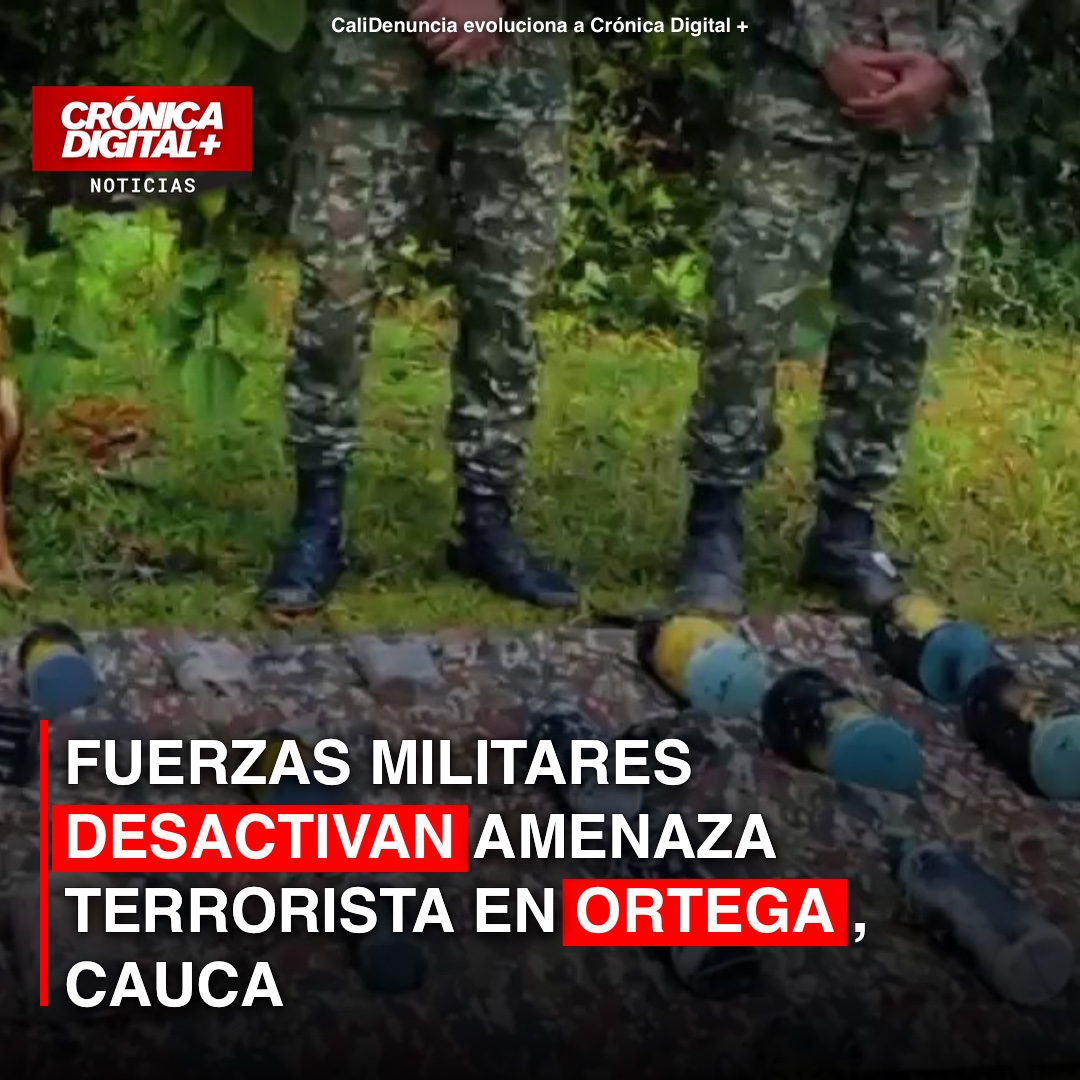 Fuerzas Militares desactivan amenaza terrorista en Ortega, Cauca