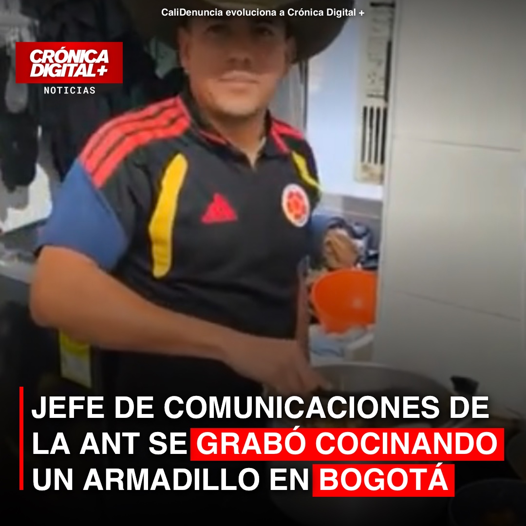 Funcionario de la ANT investigado por cocinar armadillo en Bogotá
