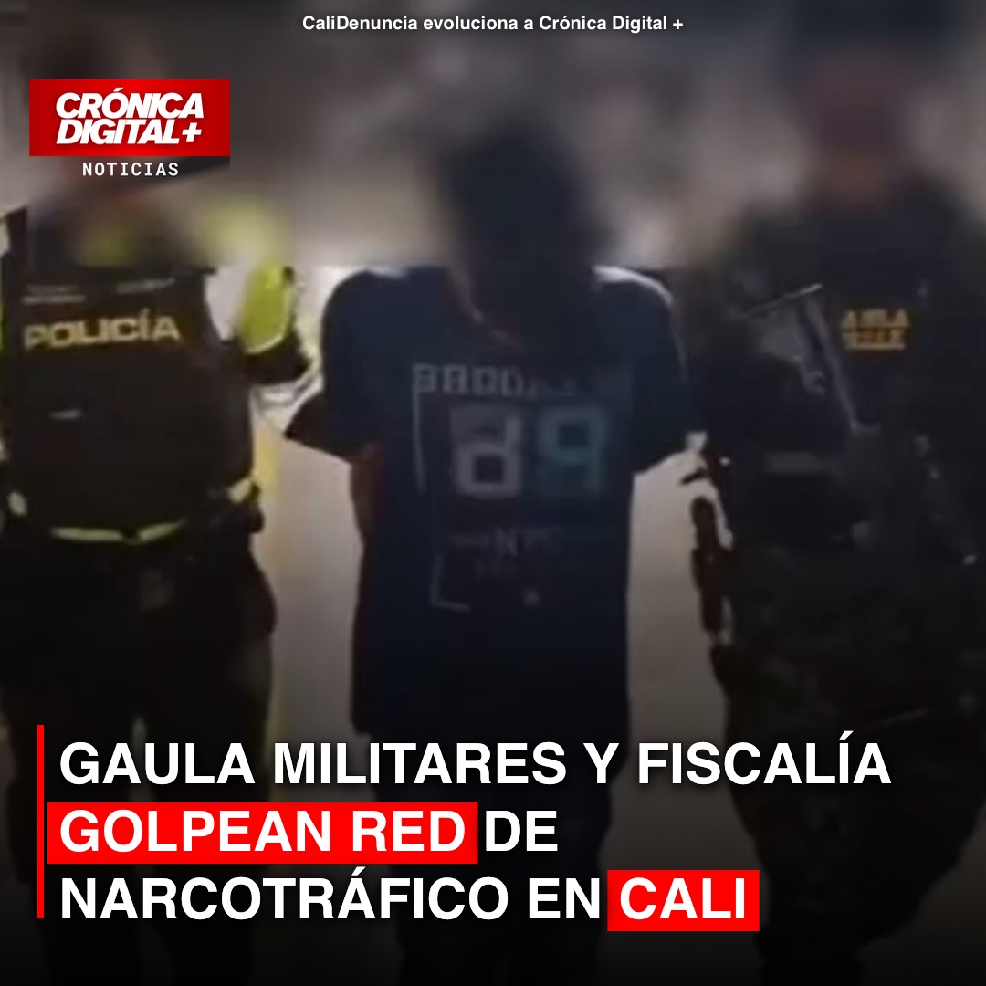 Gaula Militares y Fiscalía golpean red de narcotráfico en Cali