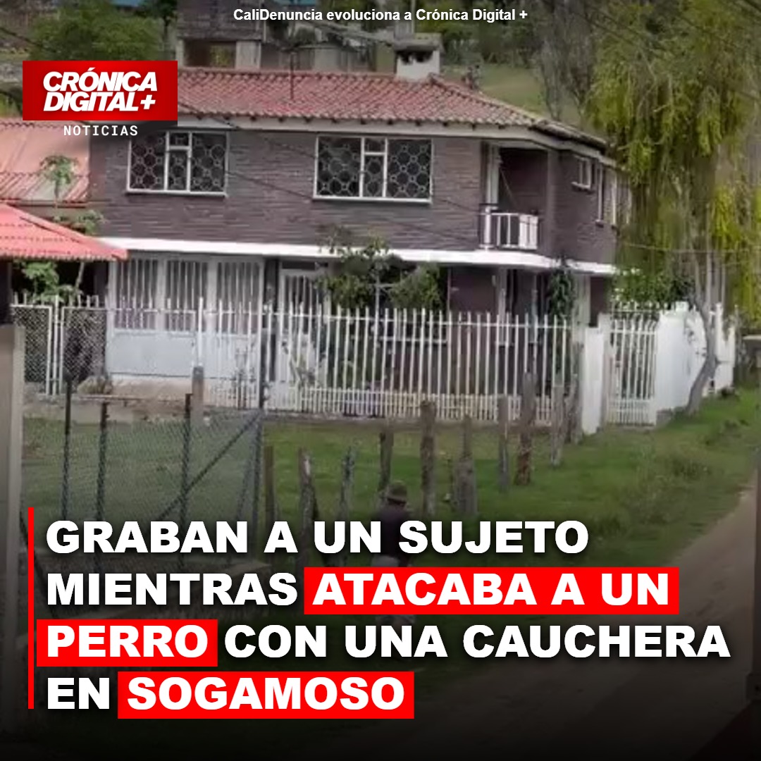 Graban a un sujeto mientras atacaba a un perro con una cauchera en Sogamoso