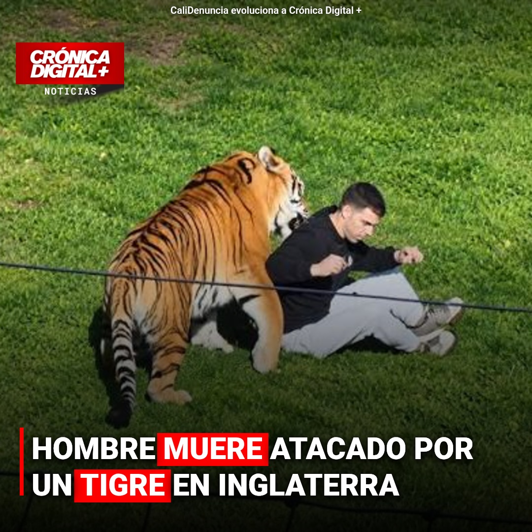 Hombre muere atacado por un tigre en Inglaterra