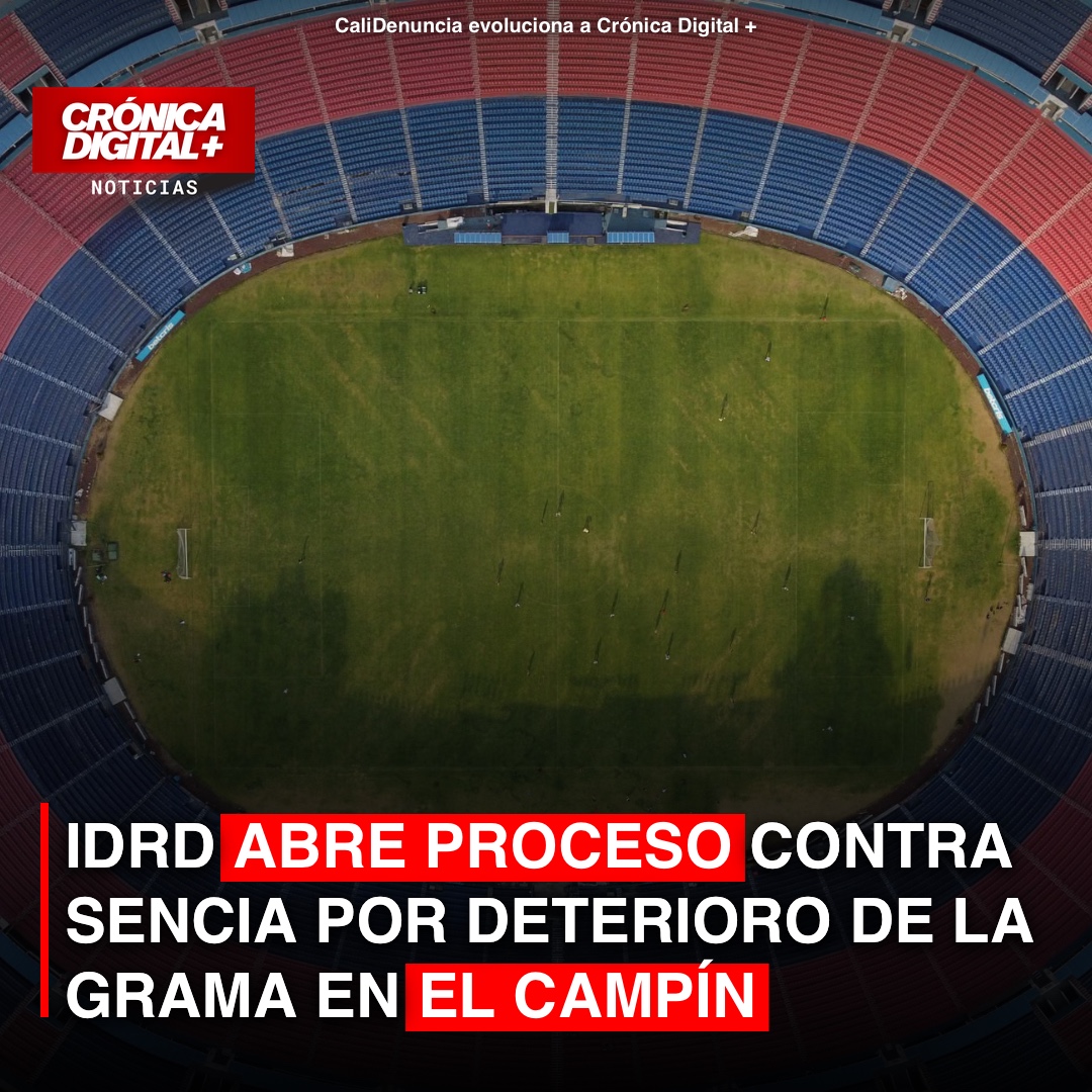 IDRD abre proceso contra Sencia por deterioro de la grama en el Campín