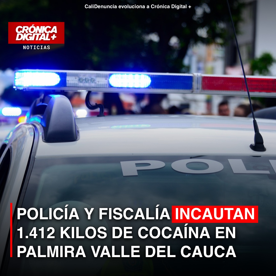 Incautan 1.412 kilos de cocaína del Clan del Golfo en Palmira