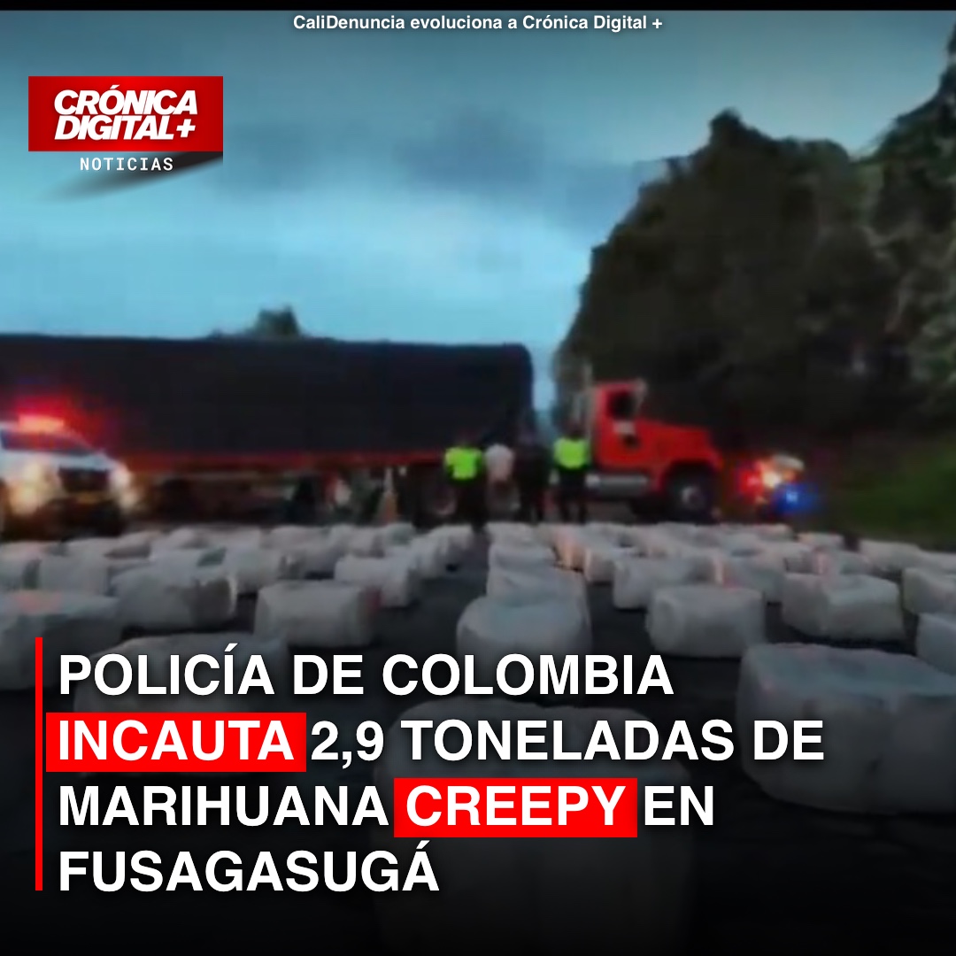 Incautan 2,9 toneladas de marihuana en Fusagasugá