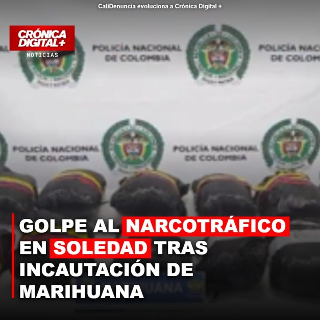 Incautan 8 kilos de marihuana en Soledad con destino a Valledupar