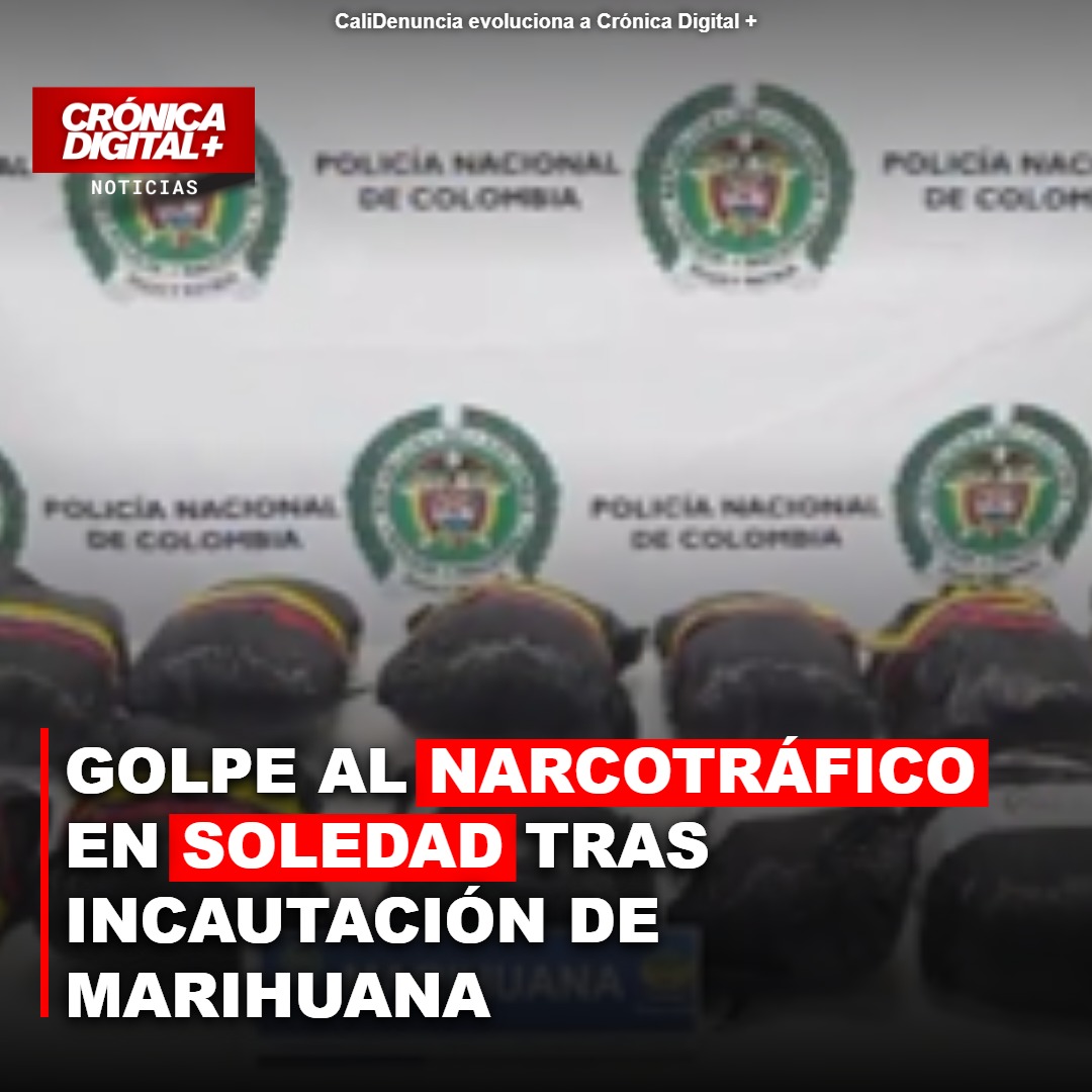 Incautan 8 kilos de marihuana en Soledad con destino a Valledupar